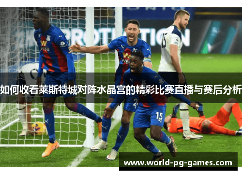 如何收看莱斯特城对阵水晶宫的精彩比赛直播与赛后分析